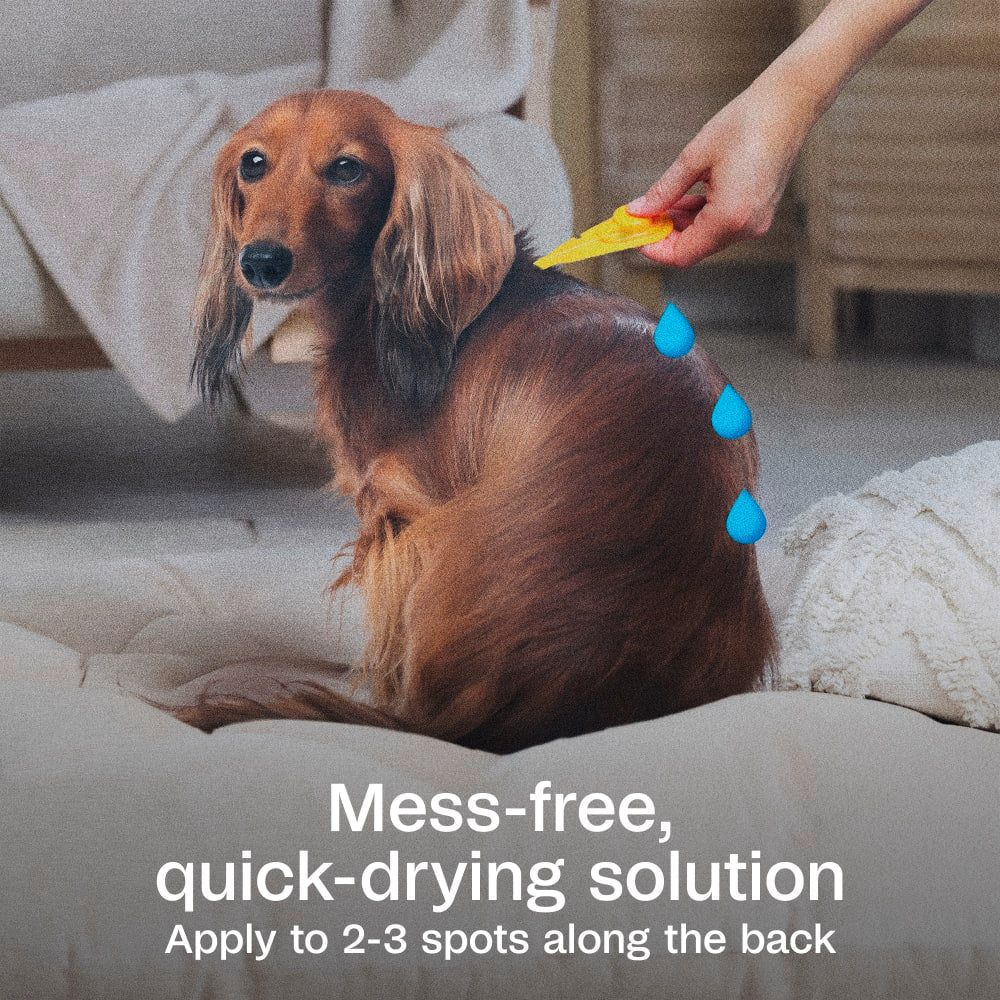 Adams Complete Indoor & Outdoor Flea Treatment System for Medium Dogs 15–30 lbs