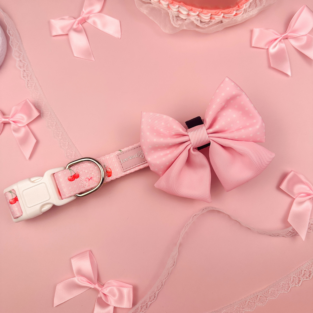Sweet Chérie Adjustable Dog Collar with Neoprene Padding