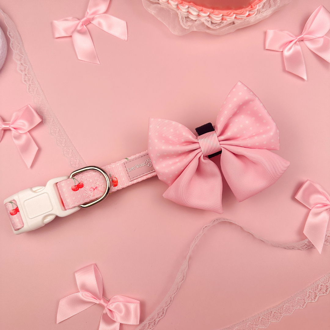 Sweet Chérie Adjustable Dog Collar with Neoprene Padding