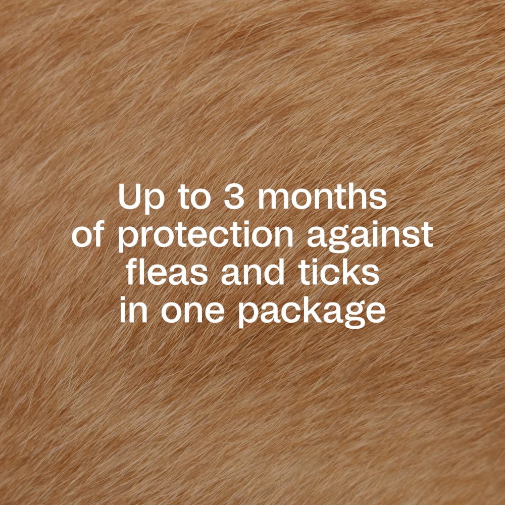 Adams Plus Flea & Tick Spot On 3 Doses 30 Day Control for Large Dogs 31-60lbs