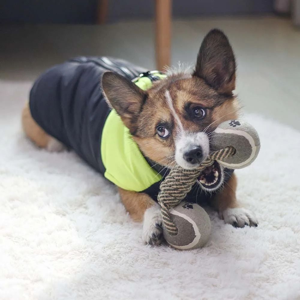 Cotton Rope Knot Toy for Medium and Large Dogs, 21cm