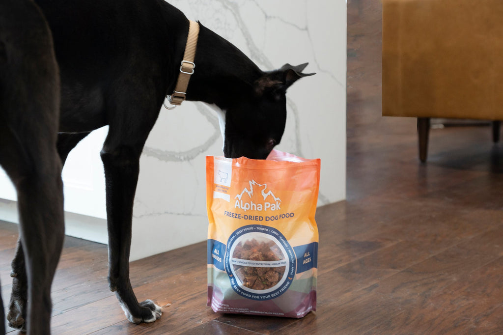 Raw Grain-Free Dog Food with Grass-Fed Beef and Organs