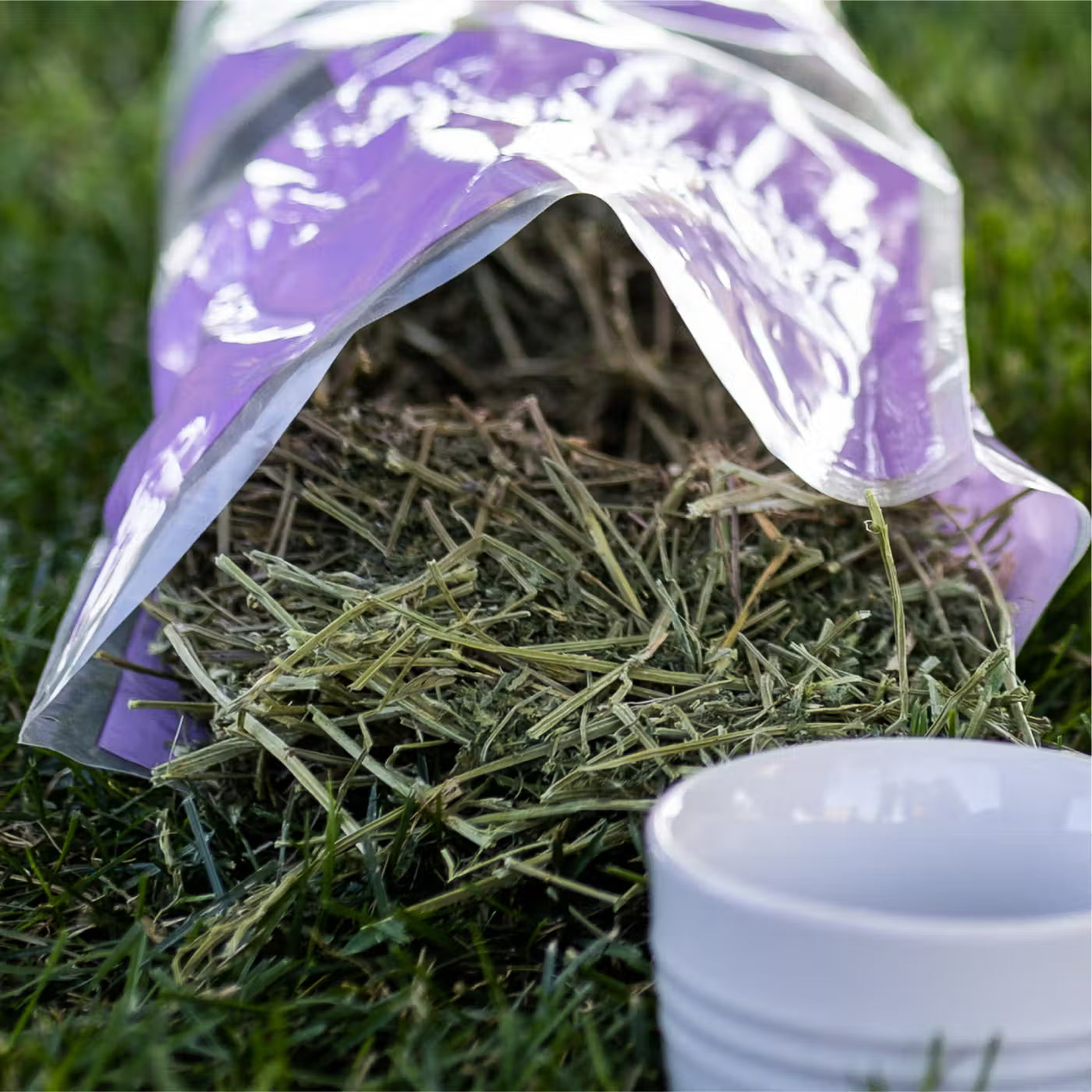 Premium Alfalfa Hay for Small Animals – Sun-Cured, All-Natural