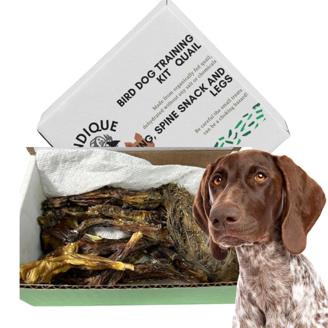 Quail Training Treat Kit for Medium & Large Dogs