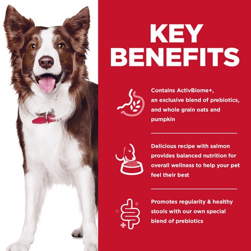 Digestive Health Salmon & Oat Dog Food for Adults 1–6 Years