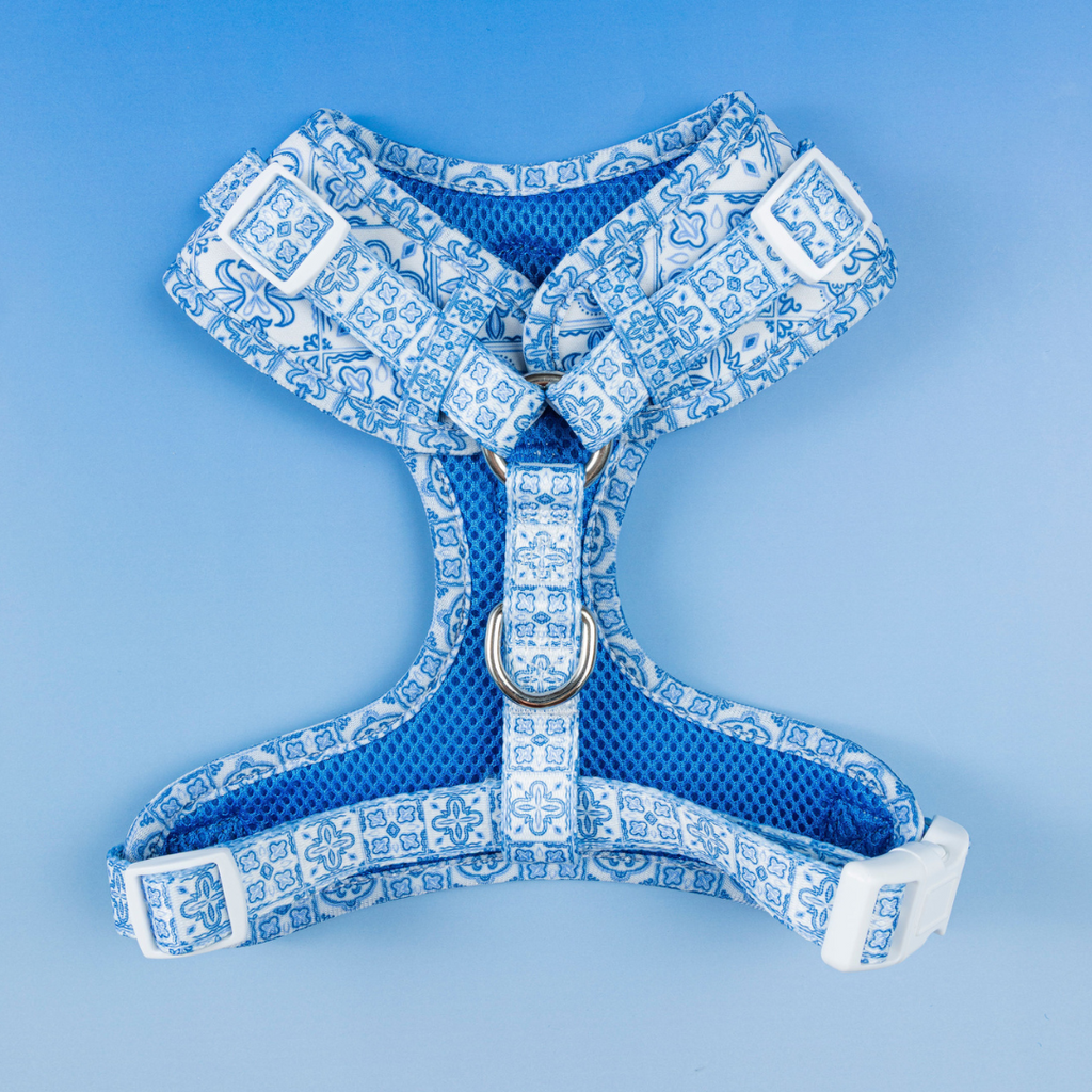 Santorini Neoprene Adjustable Dog Harness