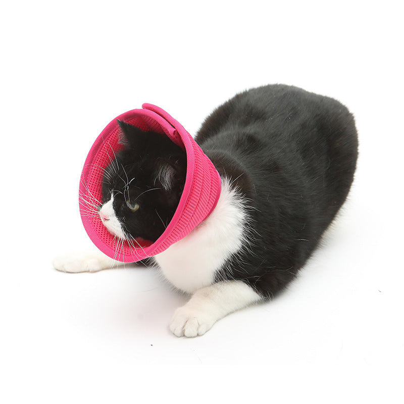 Adjustable Soft Cat Collar – Lightweight Non-Woven Fabric
