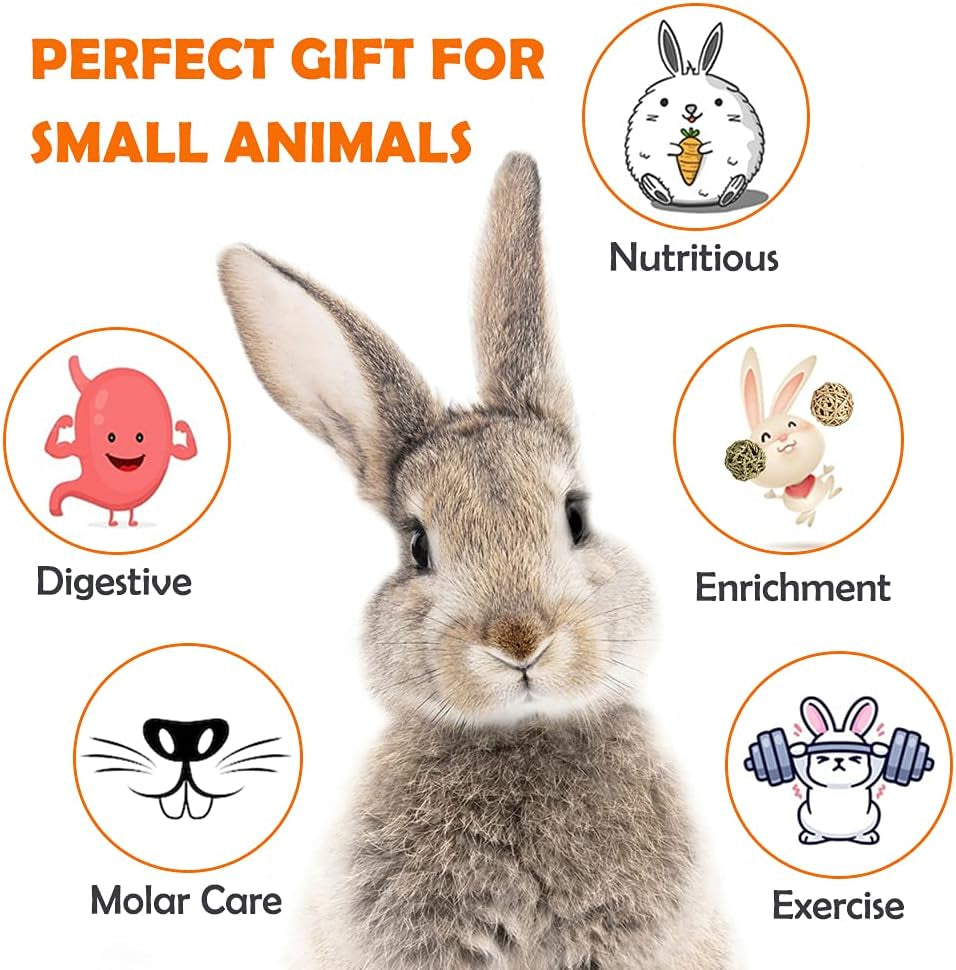 Natural Chew Toy and Treat Set for Small Pets, 13 Pieces