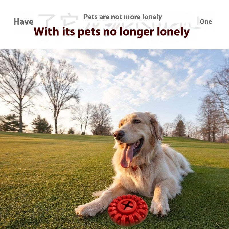 Durable TPR Dog Toy, 14 x 5 cm – Black or Red