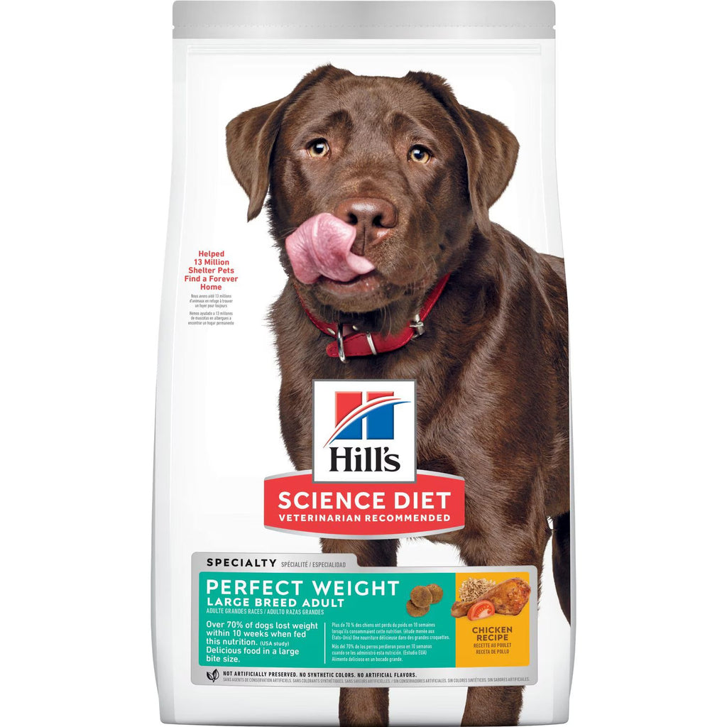 Large Breed Adult Dog Dry Food for Healthy Weight Management