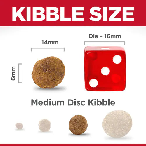 Large Breed Adult Dog Dry Food for Healthy Weight Management
