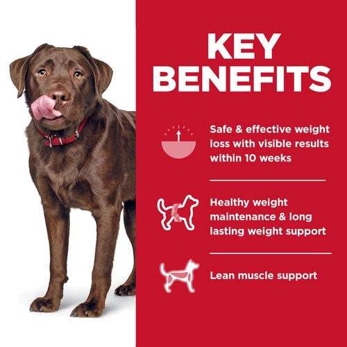 Large Breed Adult Dog Dry Food for Healthy Weight Management