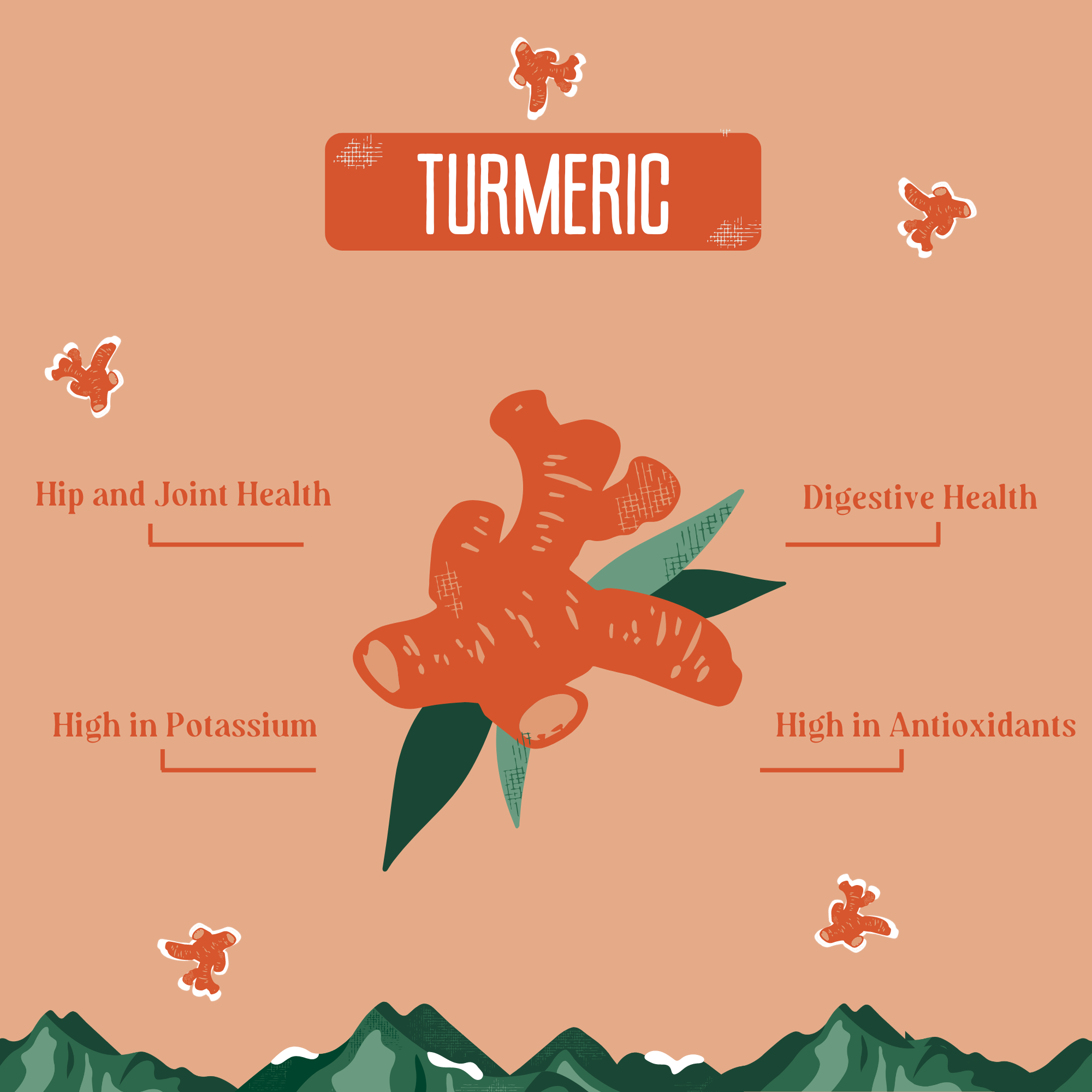 Turmeric Yak Cheese Dog Chews