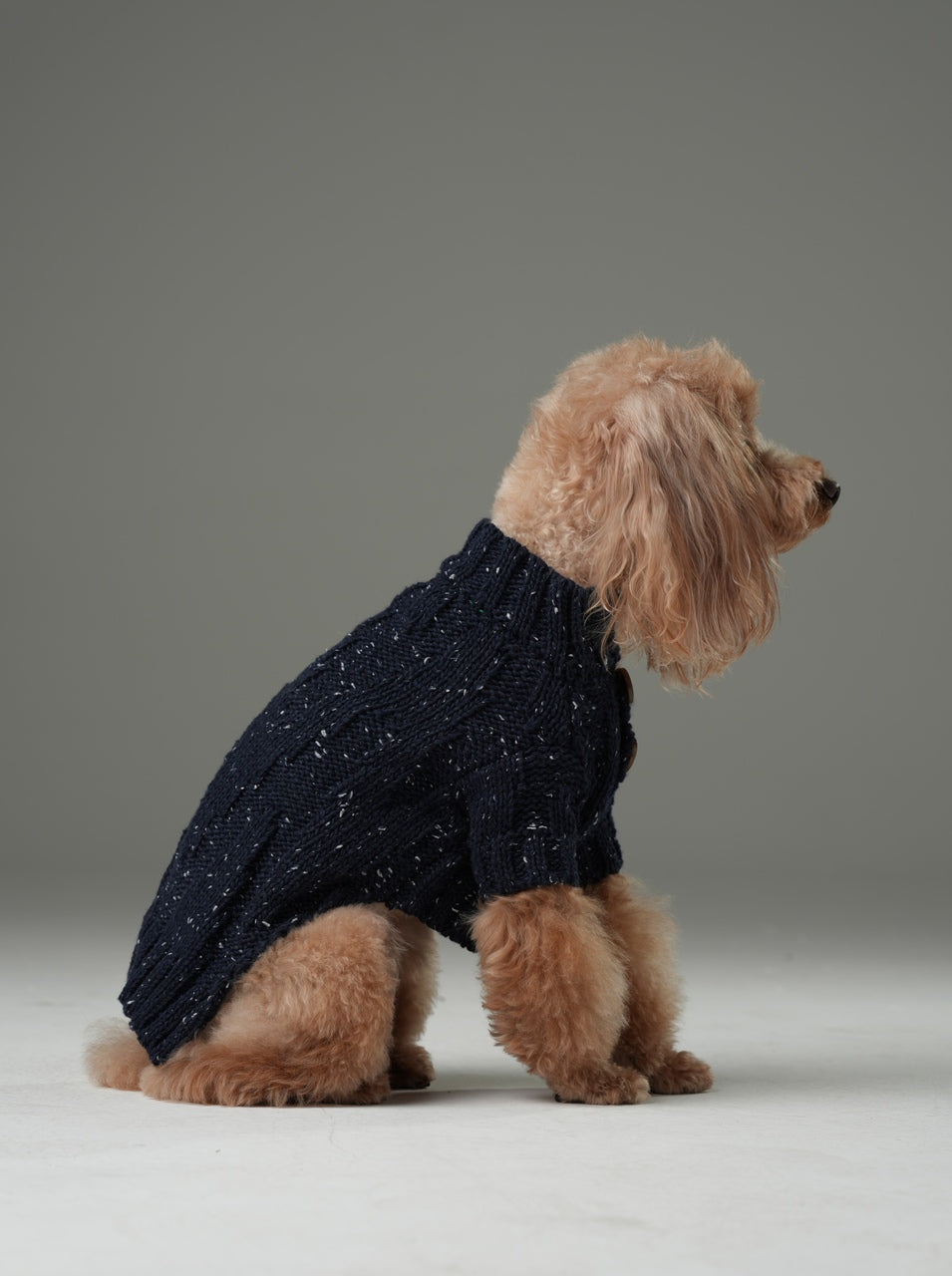 High-Neck Textured Knit Dog Sweater with Chest Buttons