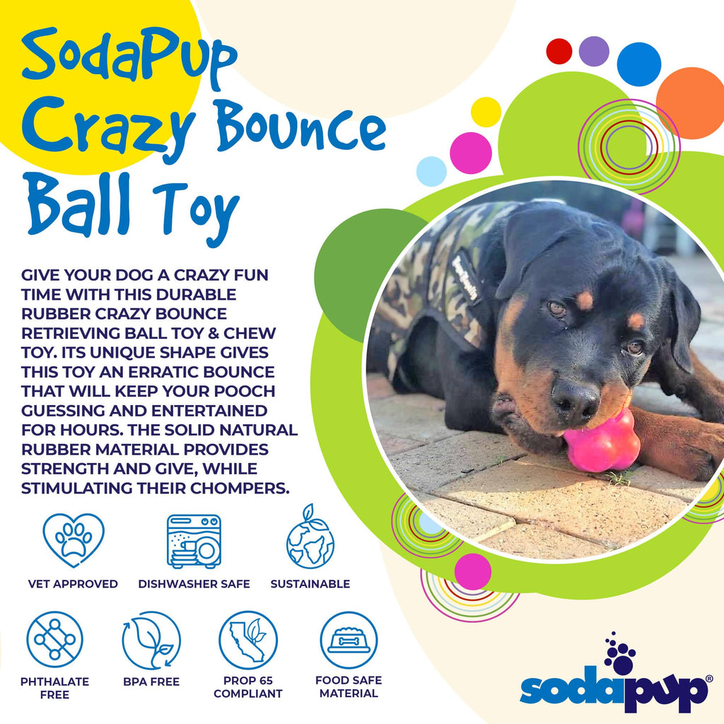 Crazy Bounce Solid Rubber Chew & Fetch Ball for Large Dogs