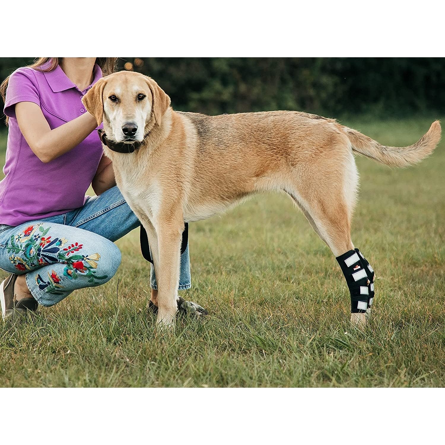 Rear Leg Braces for Dogs with Interchangeable Metal Support