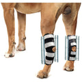 Rear Leg Braces for Dogs with Interchangeable Metal Support