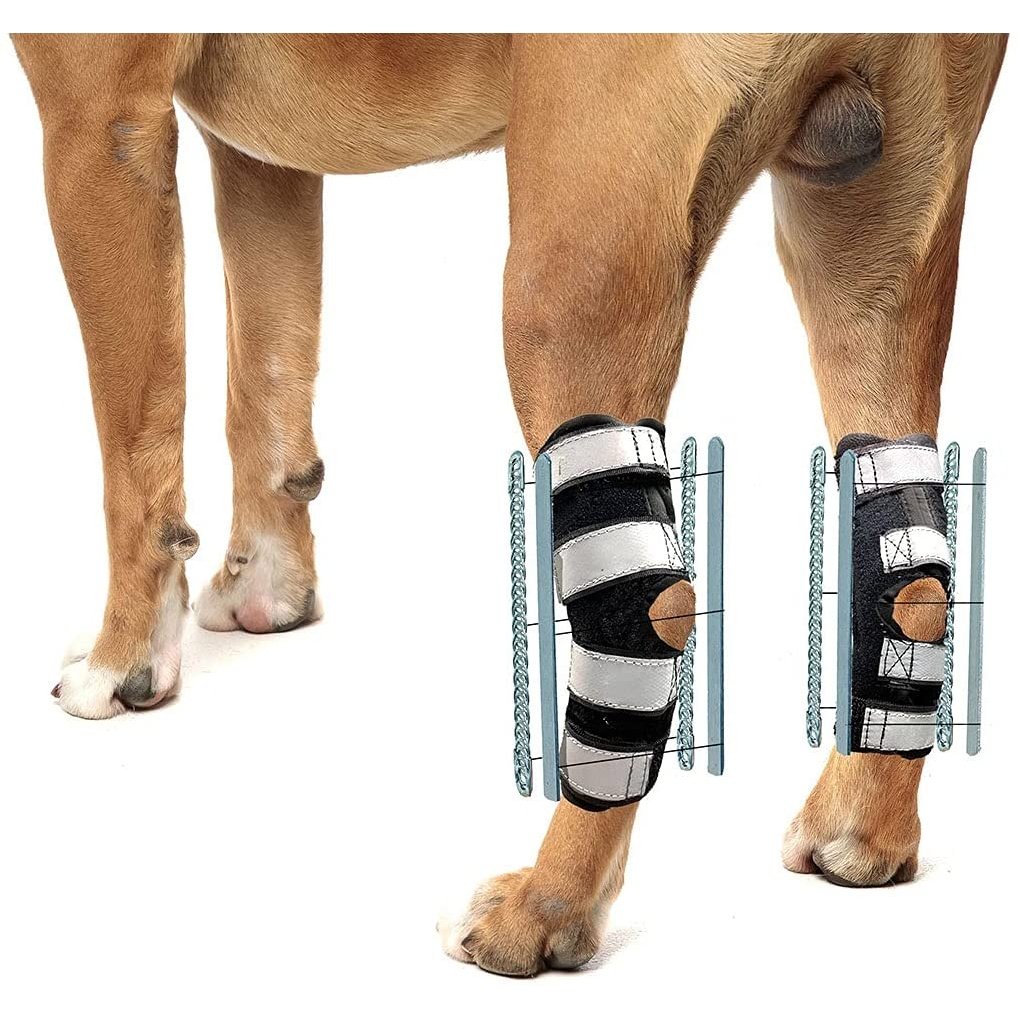 Rear Leg Braces for Dogs with Interchangeable Metal Support