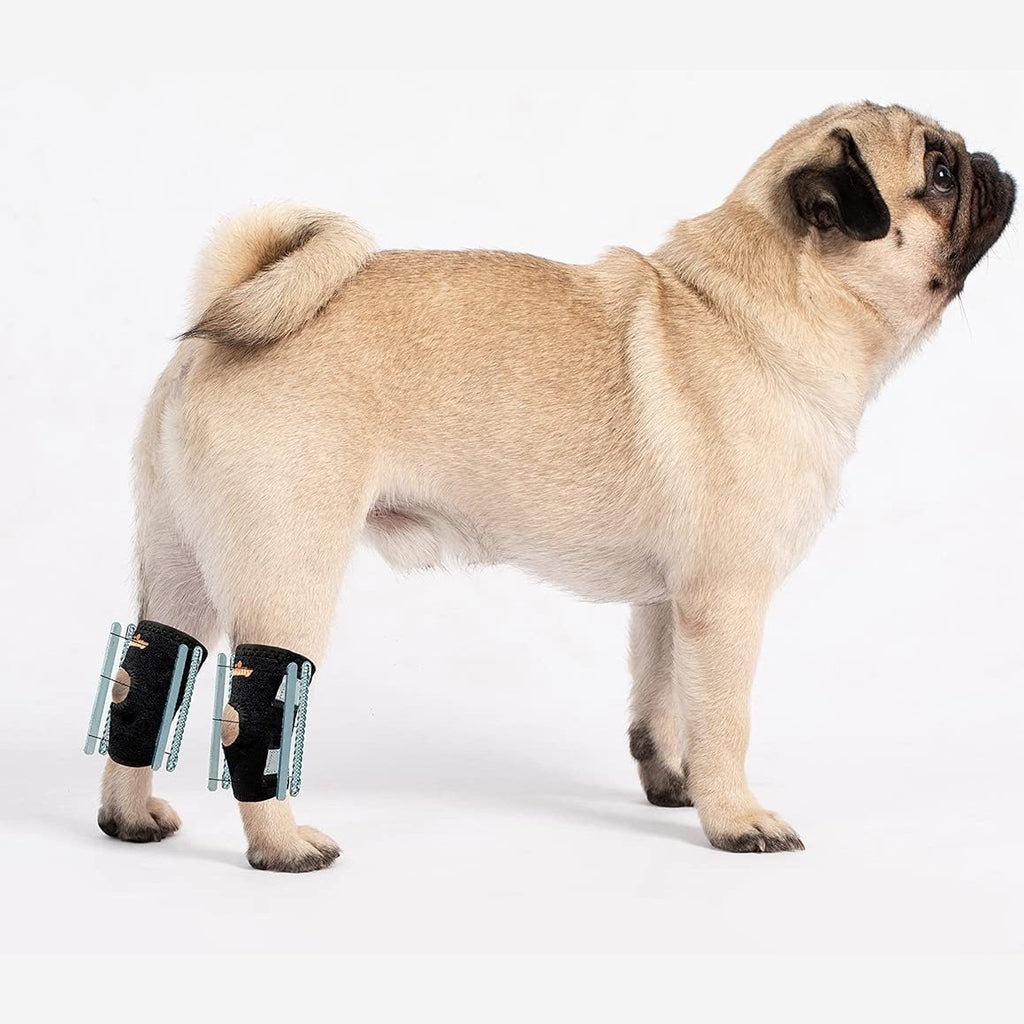 Rear Leg Hock Braces for Dogs, Pair with Removable Metal Inserts