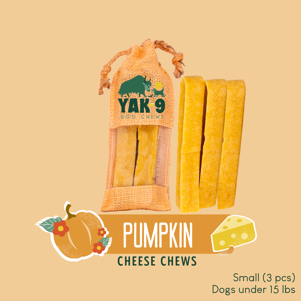 Pumpkin Yak Cheese Dog Chews with Organic Pumpkin