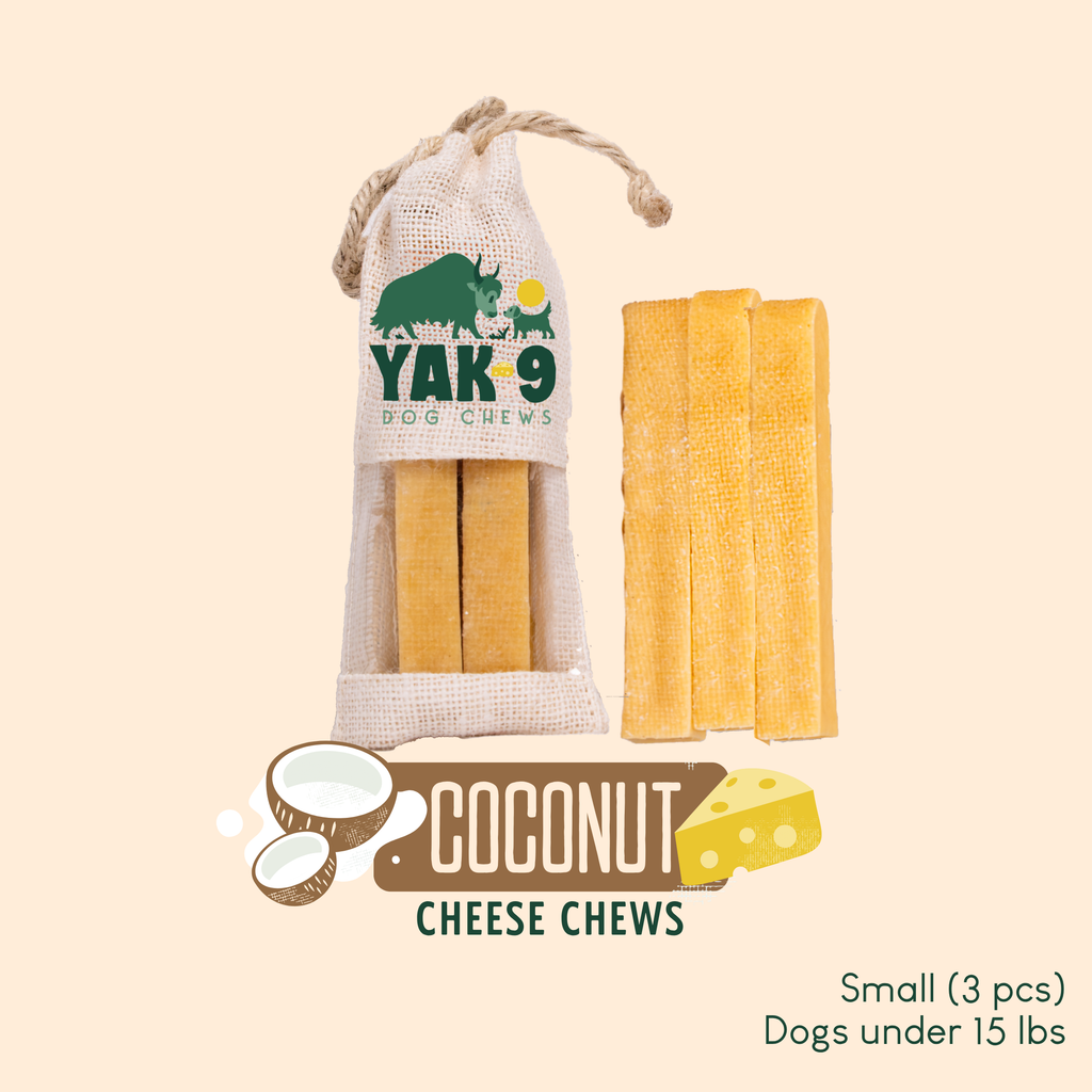 Coconut Cheese Dog Chews with Yak and Cow Milk