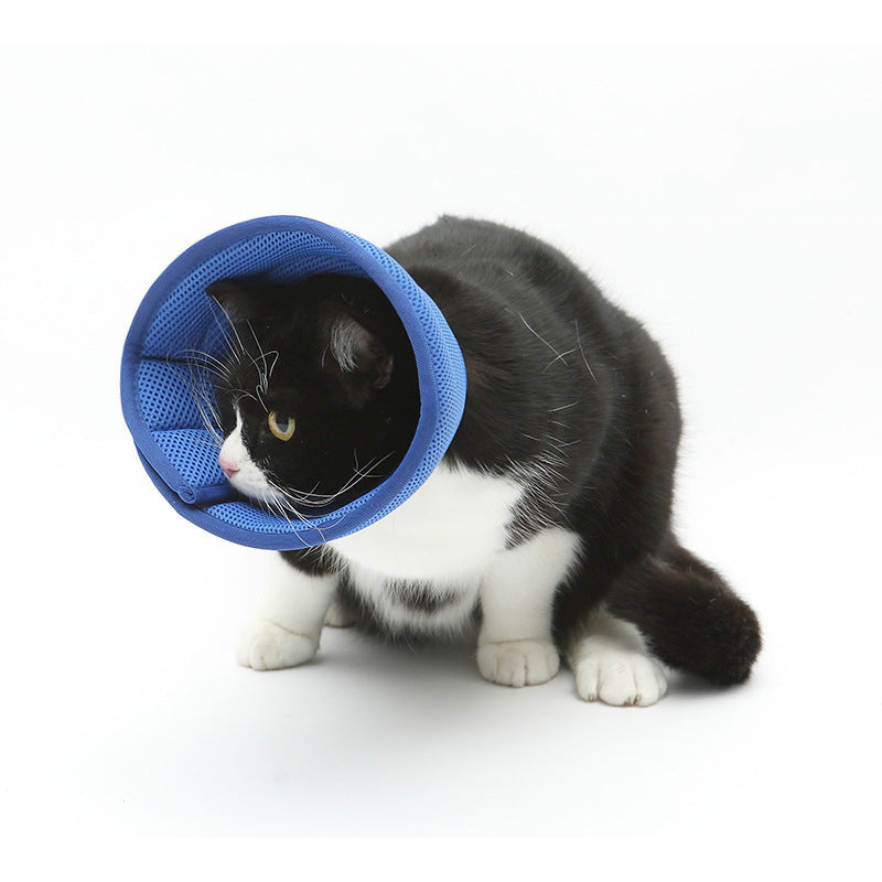 Adjustable Soft Cat Collar – Lightweight Non-Woven Fabric
