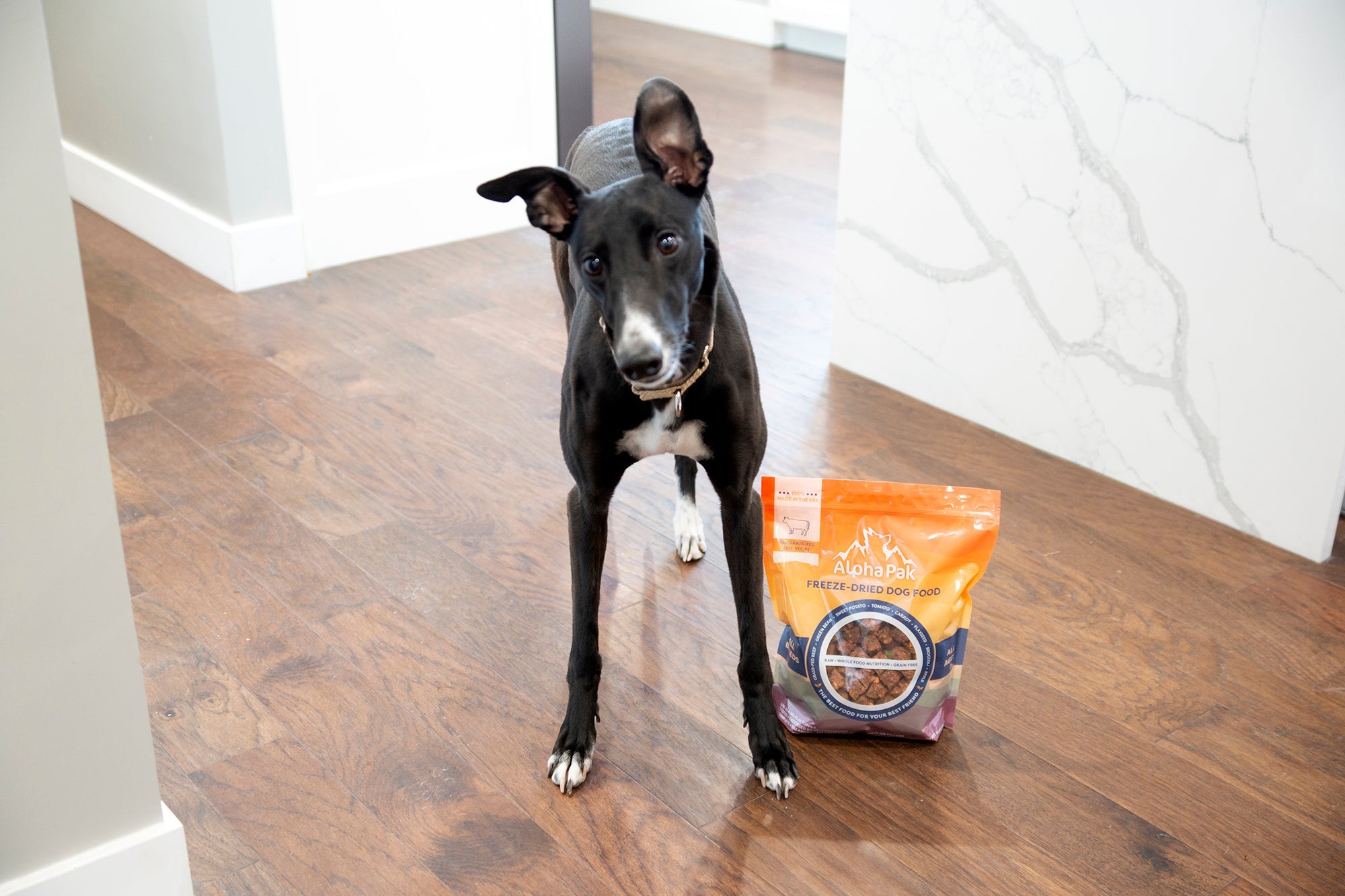 Raw Grain-Free Dog Food with Grass-Fed Beef and Organs