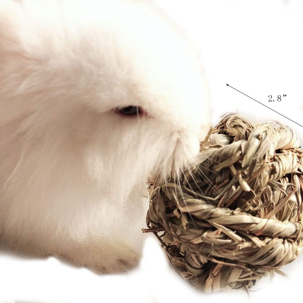 Timothy Grass Chew Balls for Small Pets, Set of 3