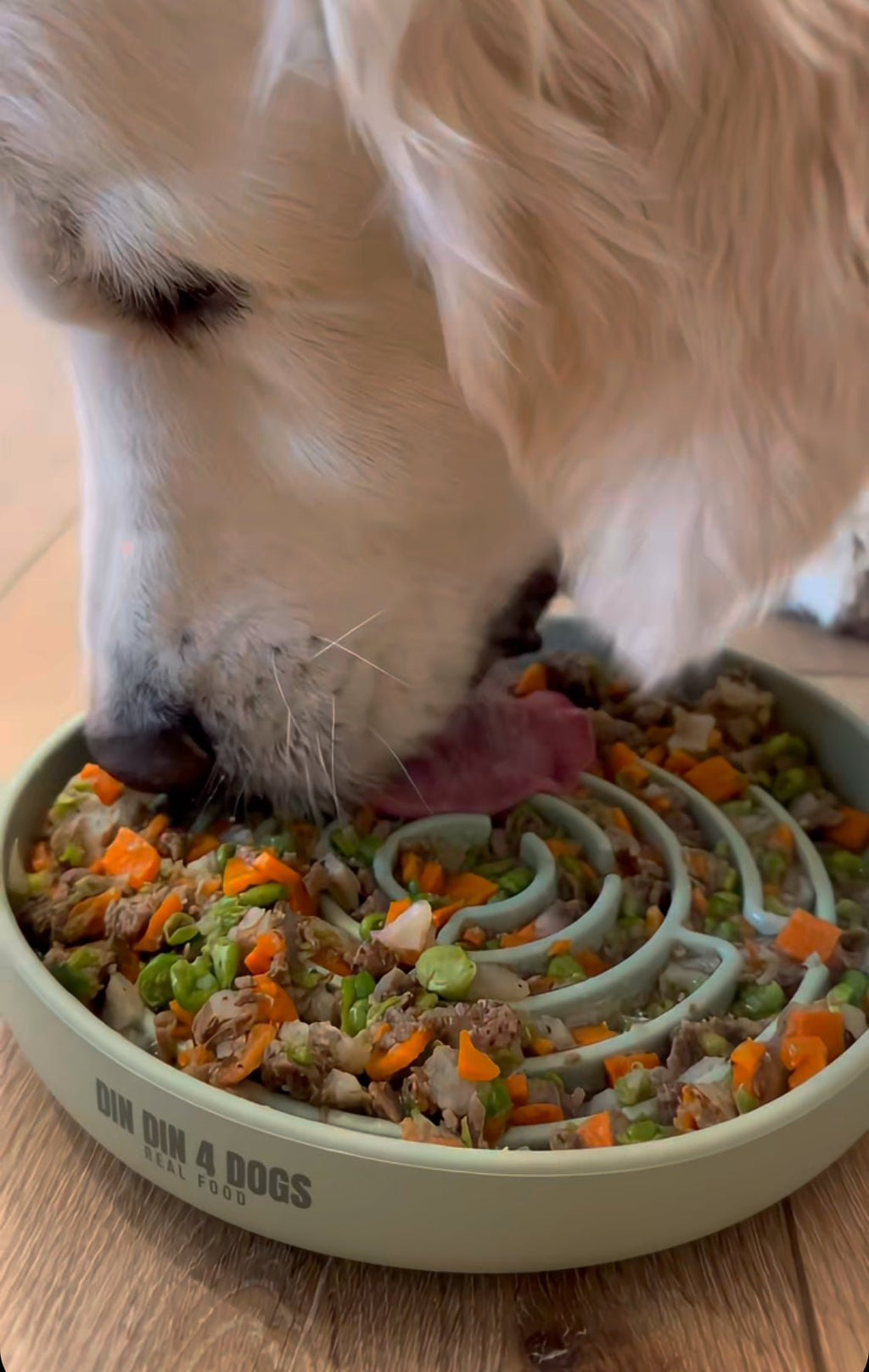 Bountiful Beef Dog Food with Vegetables, 24 x 8oz Meals