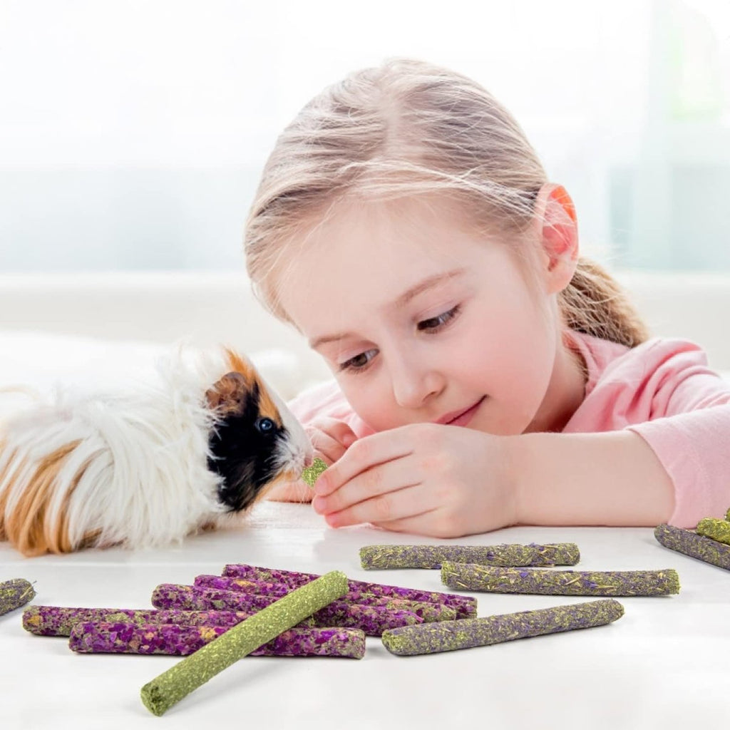 Timothy Hay Sticks Variety Pack for Small Pets, 32 Pieces