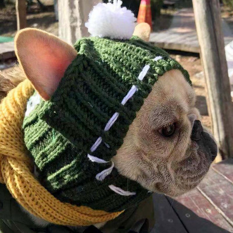 Cotton Winter Hat for Female Dogs – Solid Colors