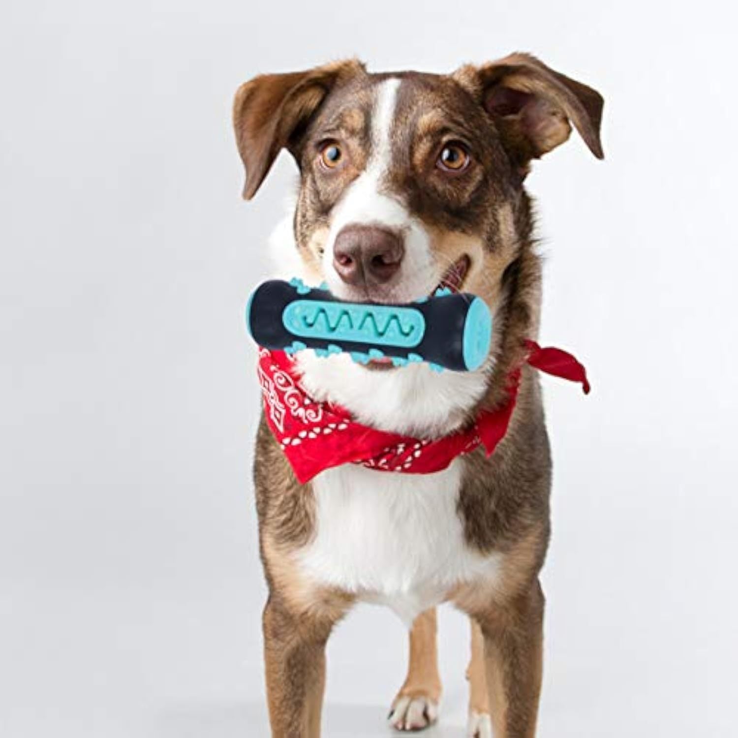 Dog Toothbrush Chew Toy, Durable Dental Stick, 15 x 5 cm