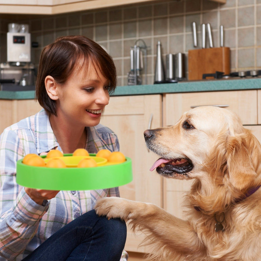Interactive Dog Puzzle Food Feeder for Slow Eating and Mental Stimulation