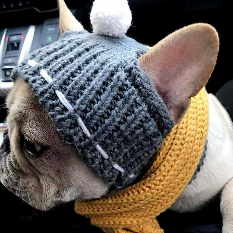 Cotton Winter Hat for Female Dogs – Solid Colors