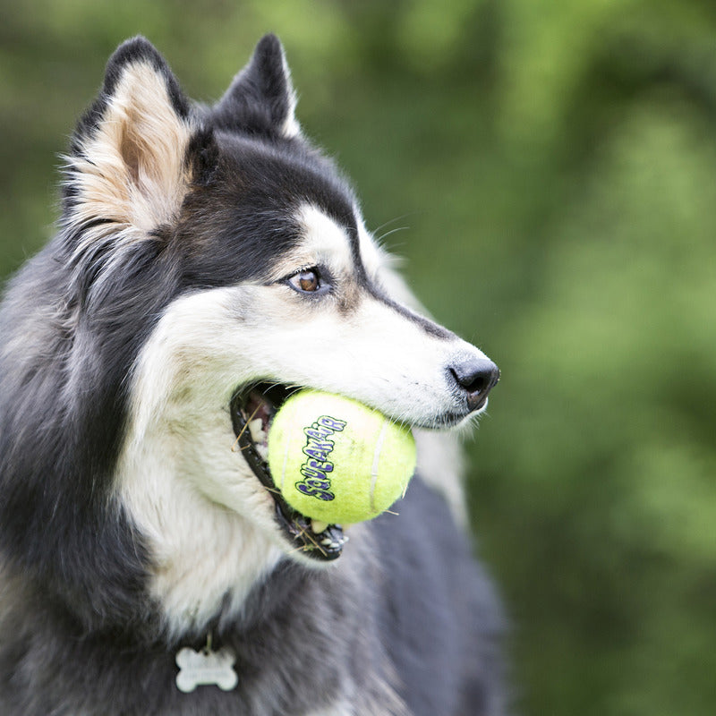 KONG SqueakAir Ball Dog Toy