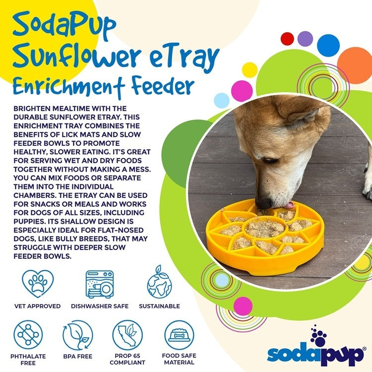 Sunflower Shallow Slow Feeder Bowl for Dogs, 8" Diameter