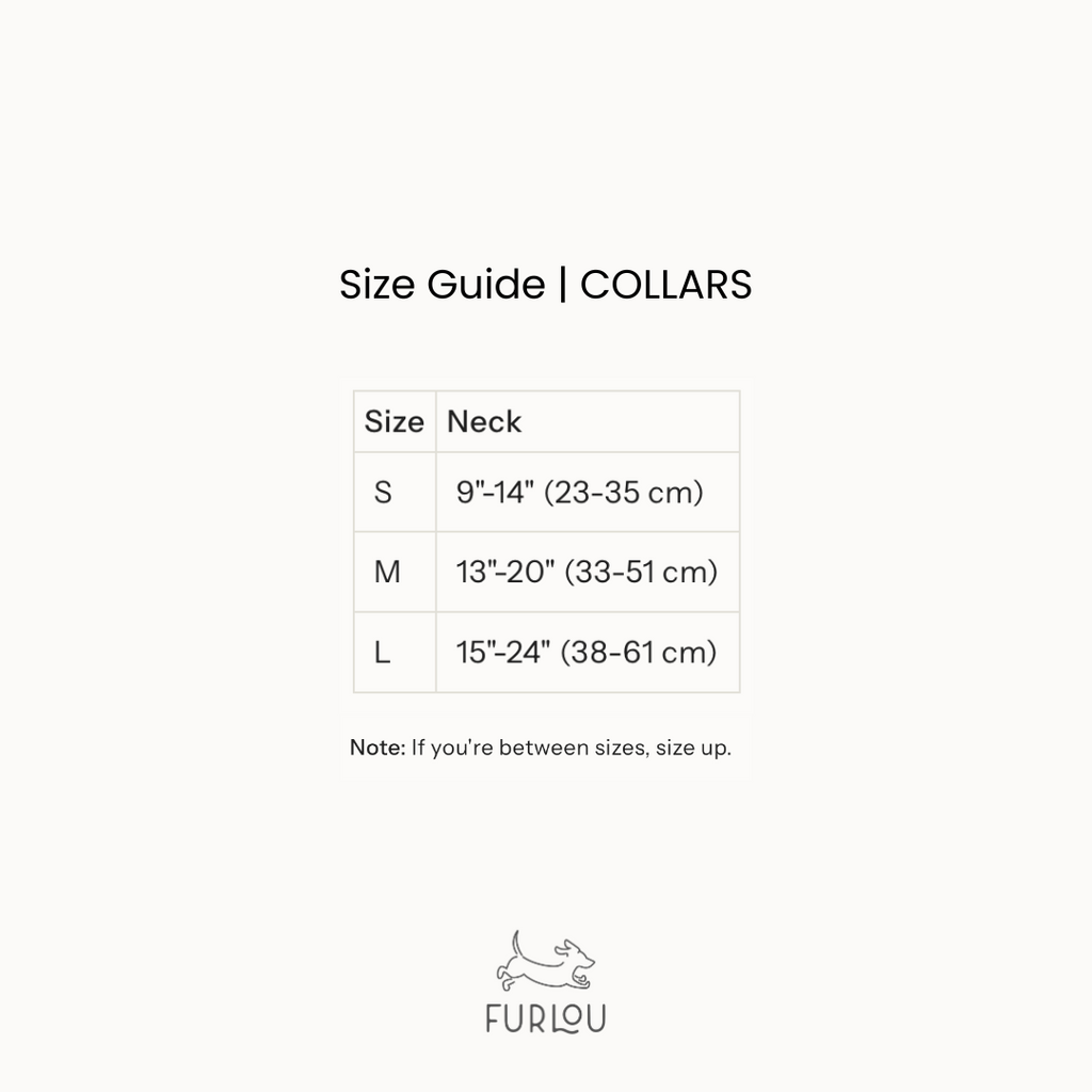 Cotton Canvas Dog Collar with Gold Hardware