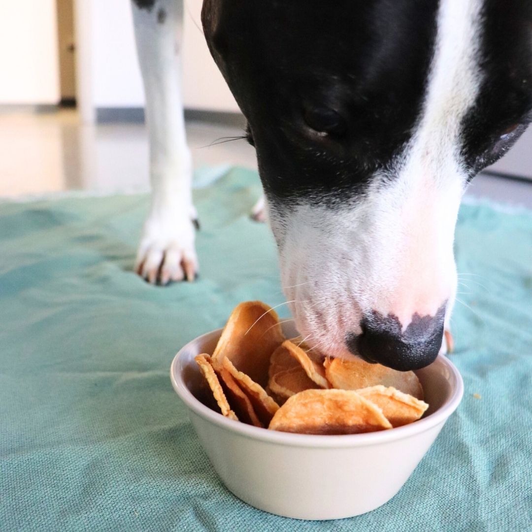 Turkey Tendon Chips Dog Treats – Single Ingredient, Air Dried