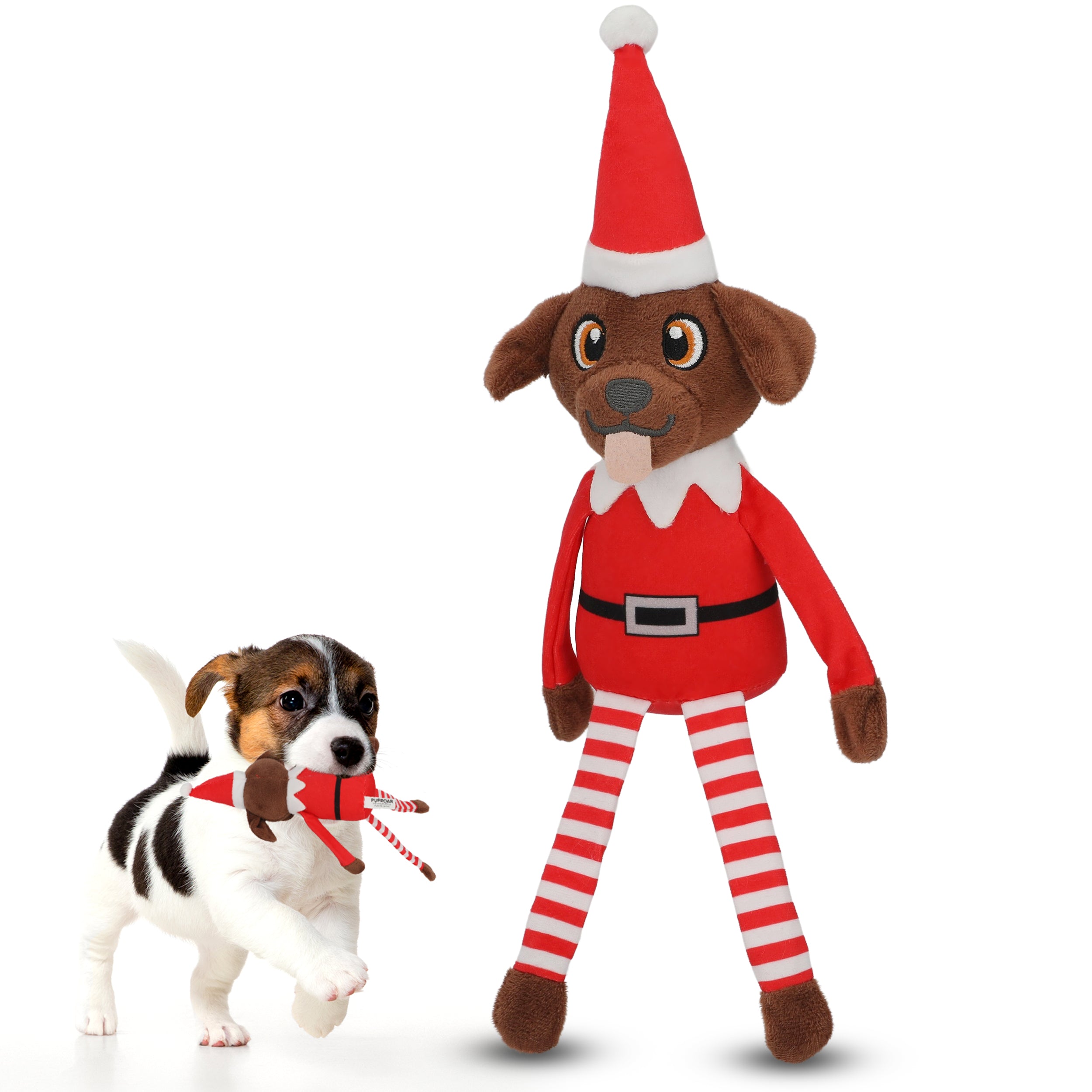 Pooch on a Perch Elf Dog Toy with Squeaker and Crinkle Paper