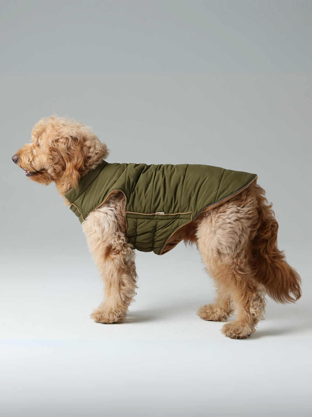 Reversible Dog Jacket with Polar Fleece Lining and Reflective Trim