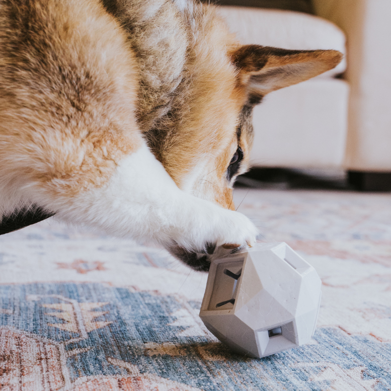 Odin Dog Puzzle Toy – Interactive Treat Dispenser and Slow Feeder