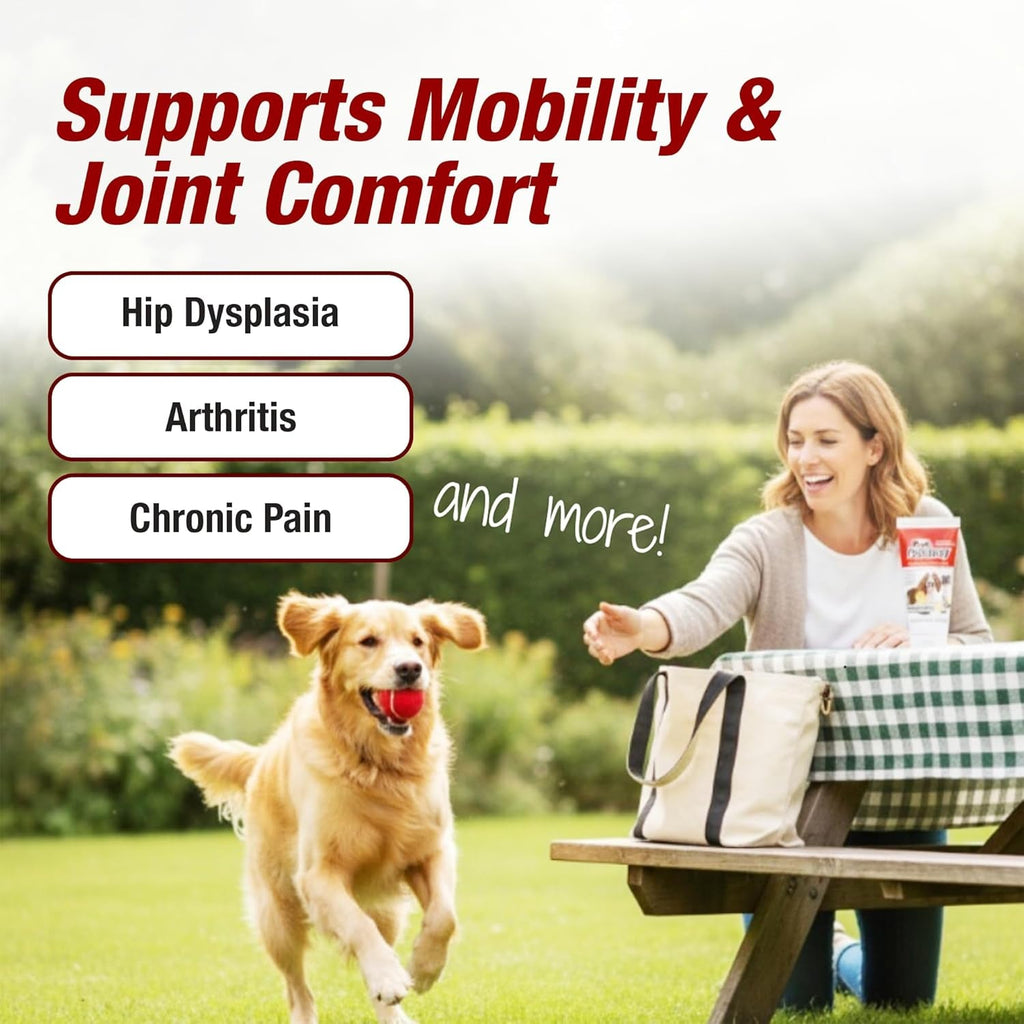 Joint Support Liquid Drops for Dogs and Cats, Chicken Flavor, 2 oz