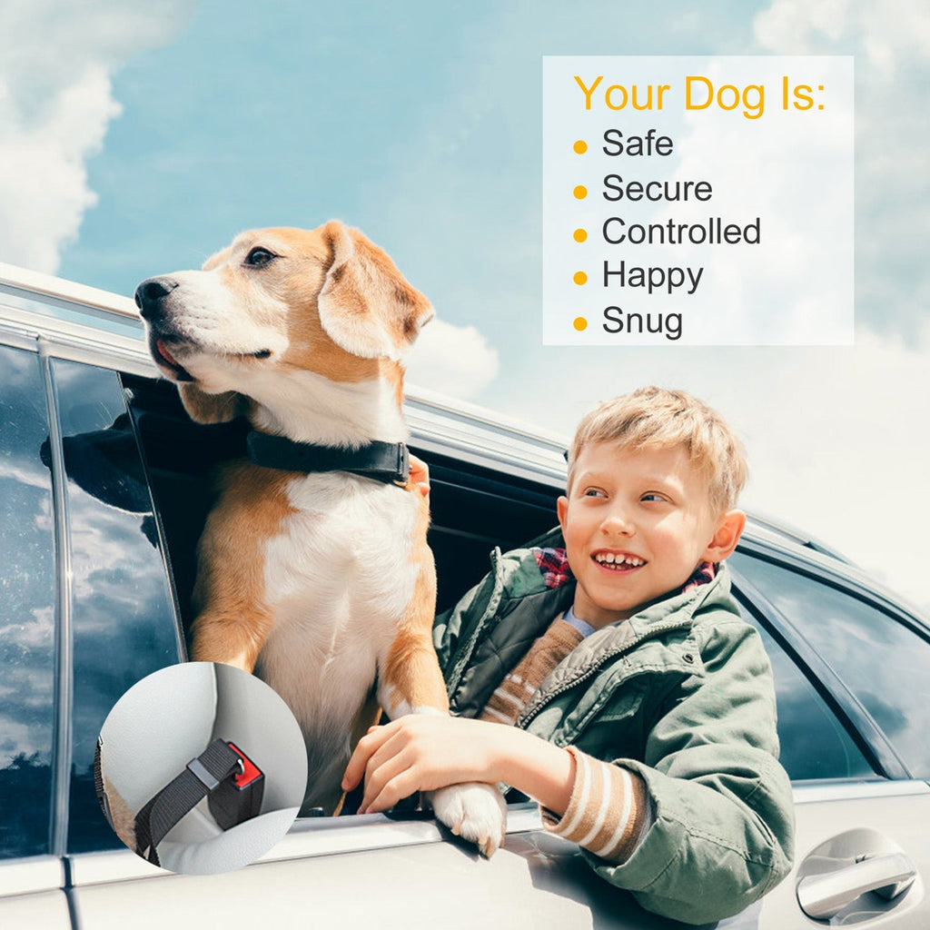 Adjustable Pet Seat Belt Leash, Pack of 2 – For Dogs & Cats