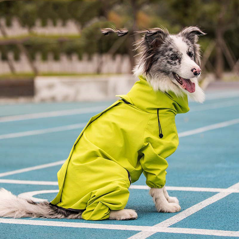 Sporty Four-Leg Dog Outfit in Silver or Emerald Green, Polyester