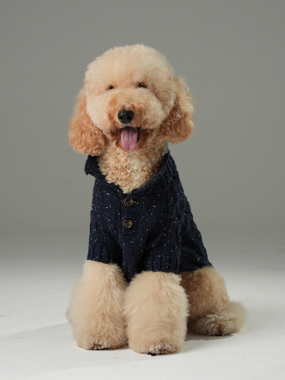 High-Neck Textured Knit Dog Sweater with Chest Buttons