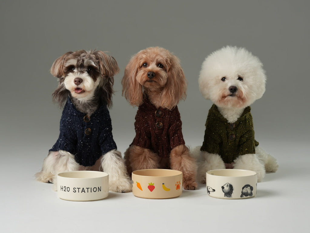 High-Neck Textured Knit Dog Sweater with Chest Buttons