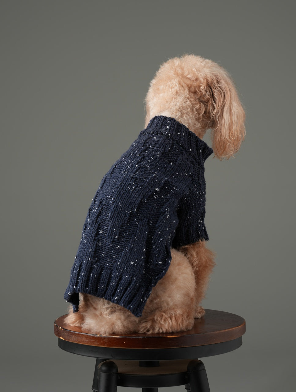 High-Neck Textured Knit Dog Sweater with Chest Buttons