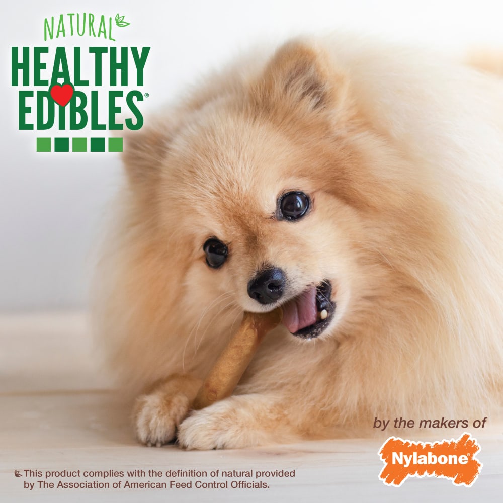 Healthy Edibles Bacon Dog Treats with Vitamins and Minerals