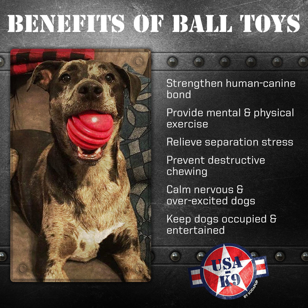 USA-K9 Stars and Stripes Rubber Chew Toy for Large Dogs