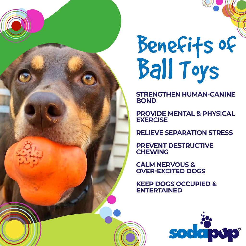 Crazy Bounce Solid Rubber Chew & Fetch Ball for Large Dogs